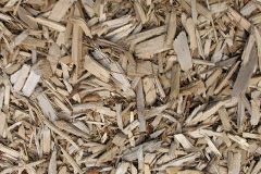 biomass boilers Roden